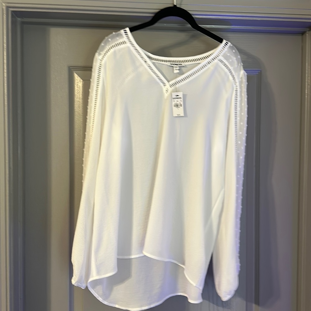 NWT express blouse with sheer sleeves